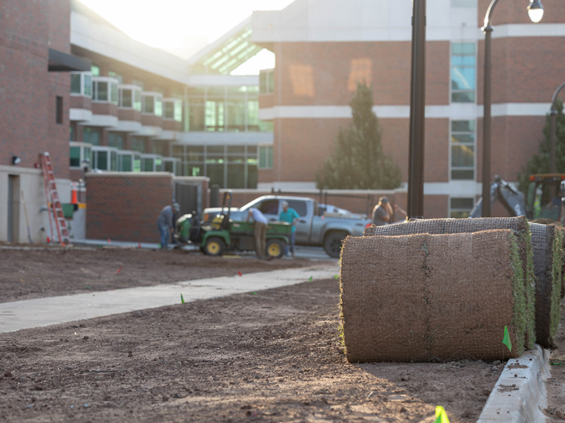 Rolls of sod outside new building