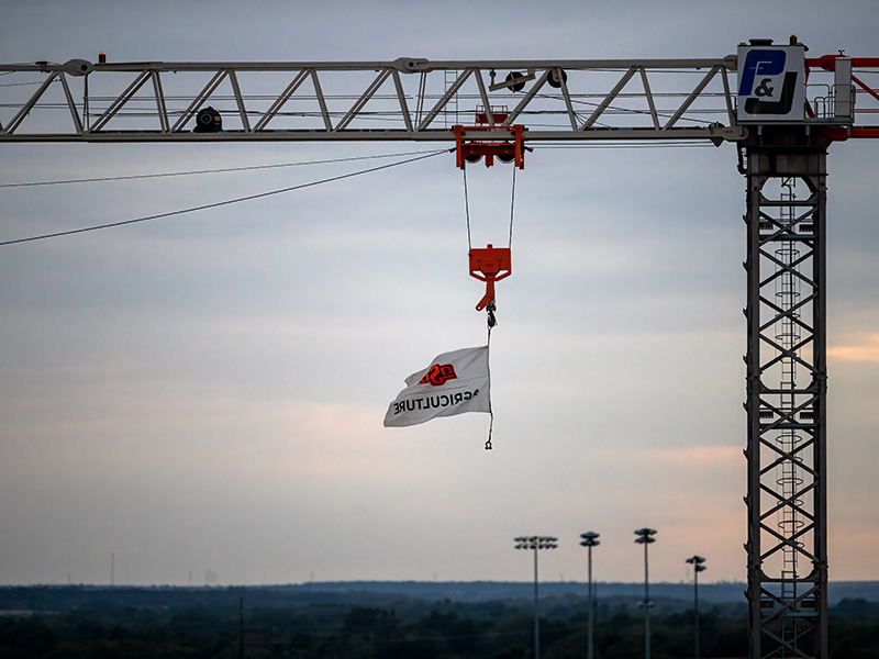 Flag flying on New Frontiers construction crane