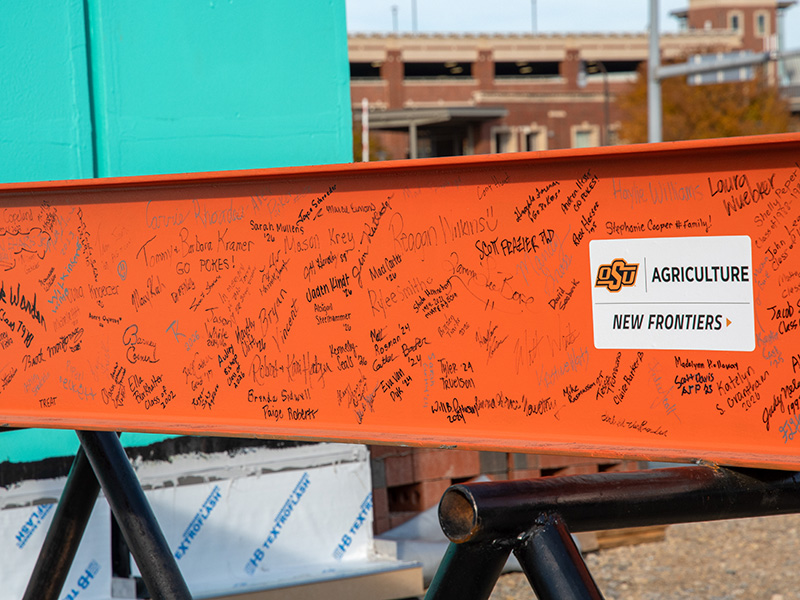An orange construction beam with all the signatures