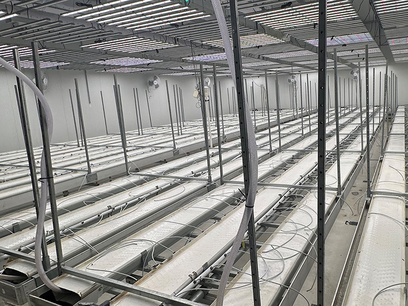 Rendering of what the interior of the grow room could look like.