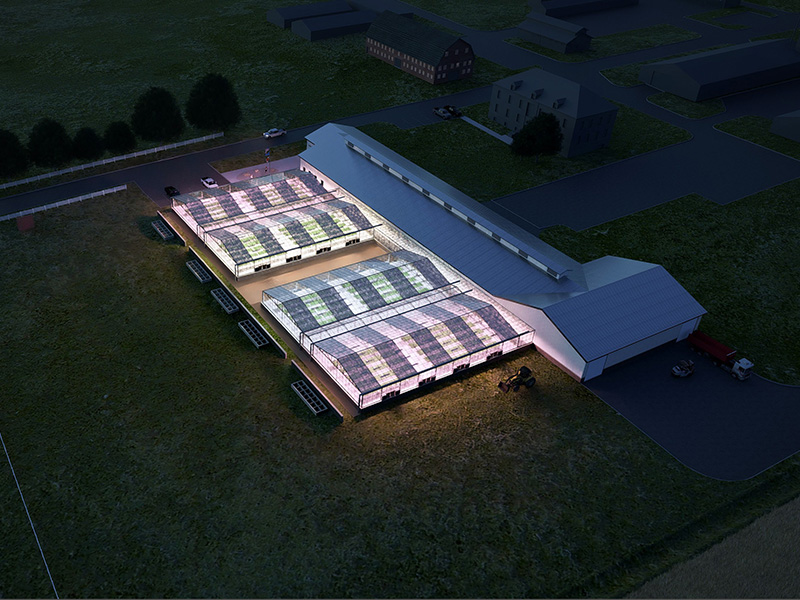 Rendering of the new greenhouses at night.