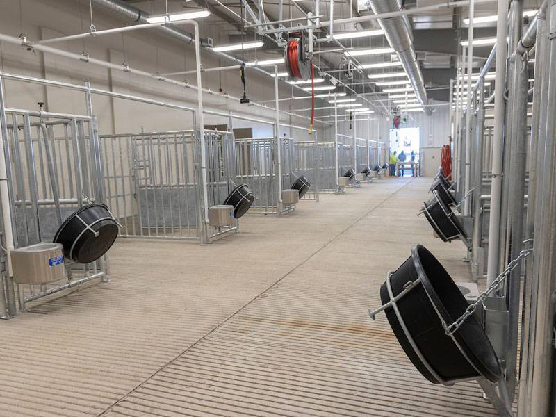 animal-nutrition-physiology-research-center-800x600